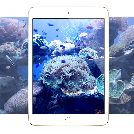  iPad mini/mini2/mini3平板膜，高清钢化玻璃膜 